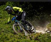 fox racing shox