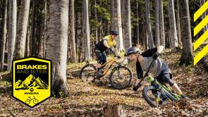brakes bites magura 