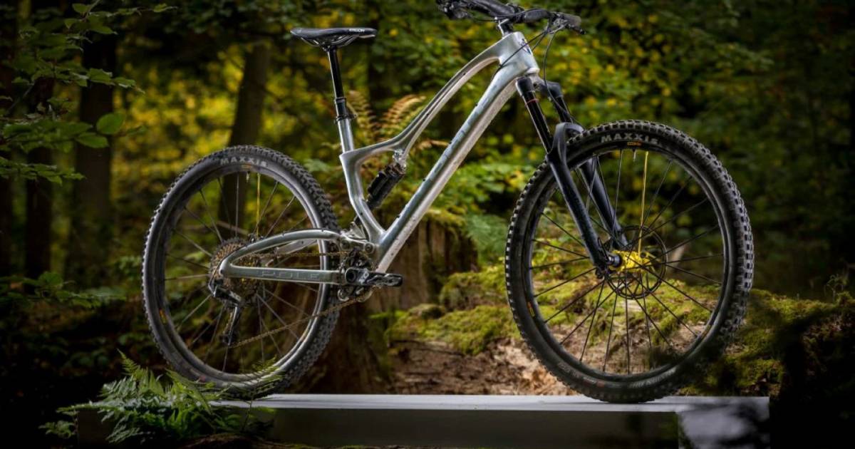 Pole-Bicycles-verkauft-Archiv-Rahmen-um-Neustart-zu-finanzieren