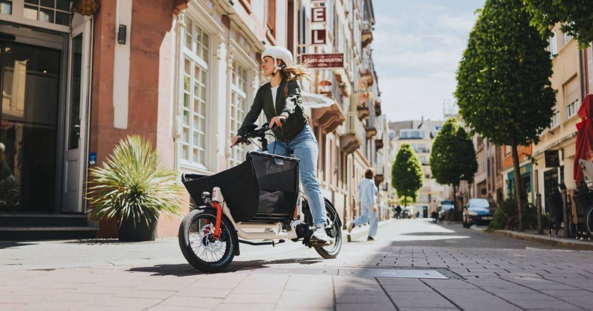 Mehr-als-jeder-Vierte-in-Deutschland-besitzt-inzwischen-ein-E-Bike