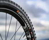 cast mtb antagonist