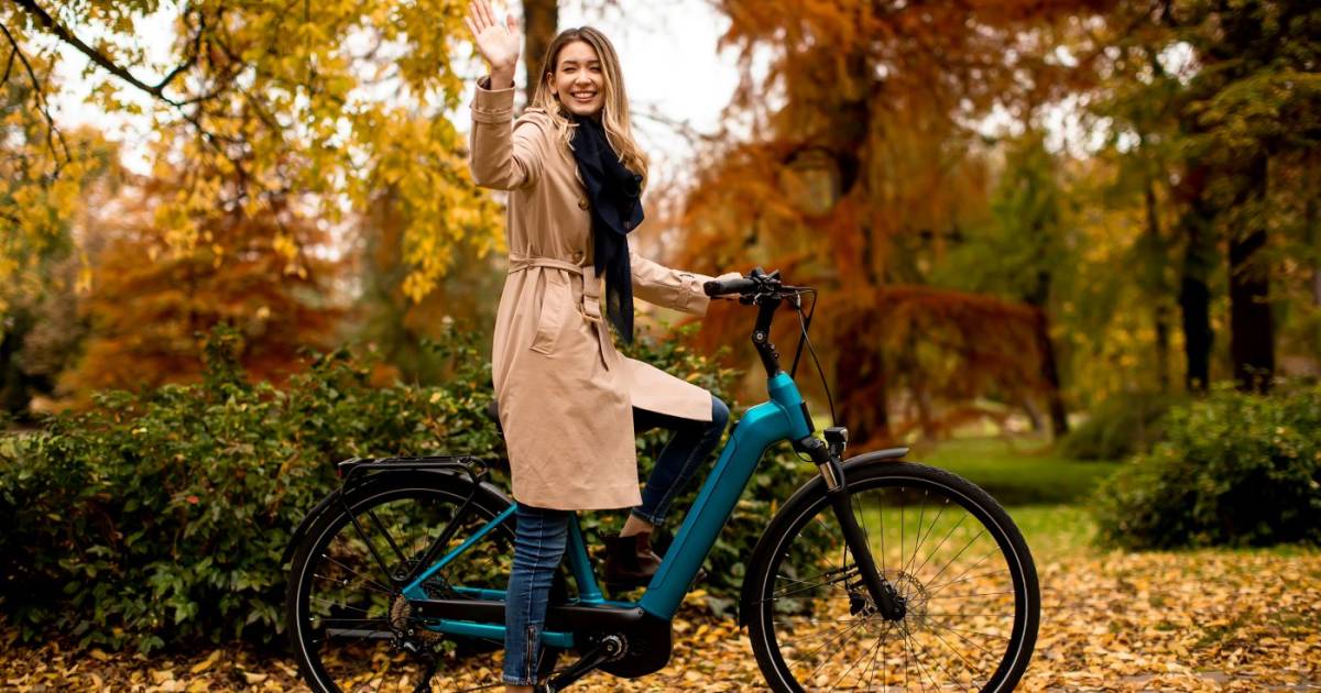 E-Bike-Boom-trifft-auf-breite-Zur-ckhaltung-in-Deutschland