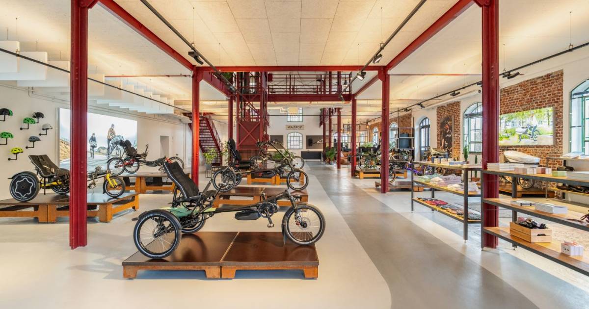 Hase-Bikes-l-dt-zum-Werksverkauf-Spezialr-der-direkt-vom-Hersteller