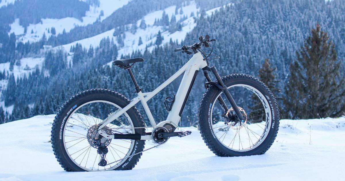 Maxx-Bikes-Components-tritt-dem-VSF-bei