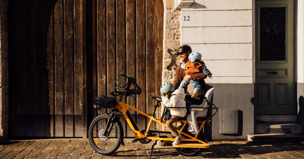 Velosafe-E-Bike-Schutz-ab-Werk-mit-Tracking-und-Versicherung