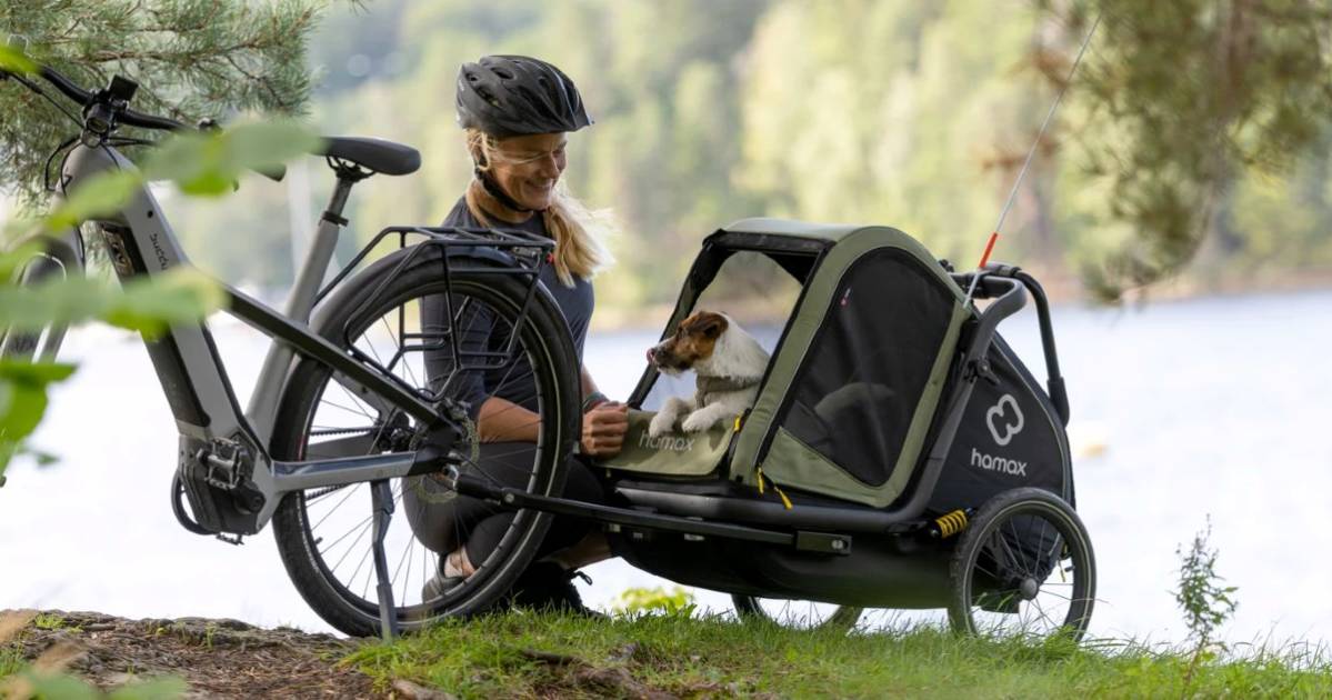 Direkte-Anbindung-Hamax-setzt-auf-Standardisierung-mit-Veloconnect