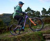 whyte